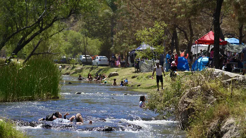 Bosque de la Primavera Foto Coordinación General de Gestión del Territorio  (4).jpg